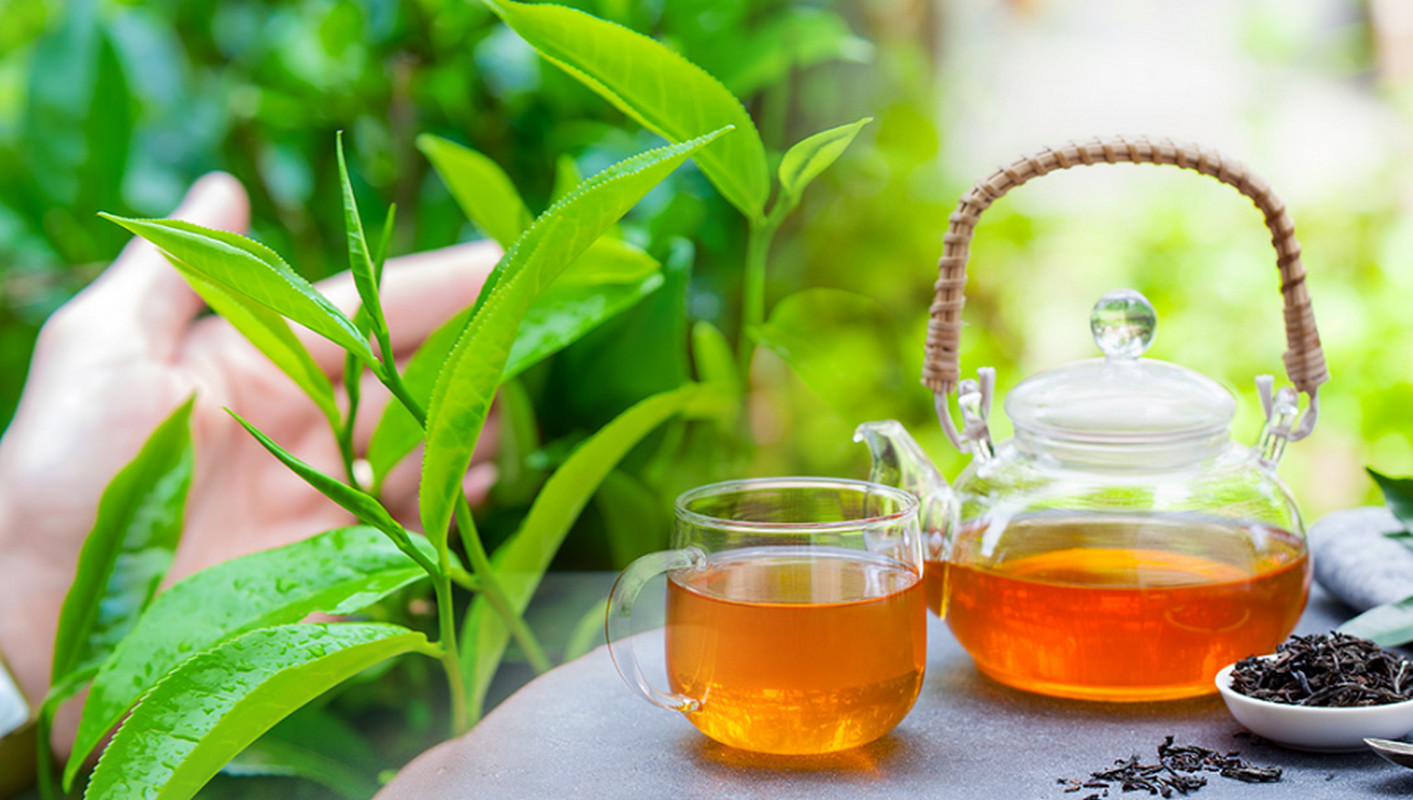 چای امیننت با عصاره‌ی اصیل هل (سری اکسکوزیت)