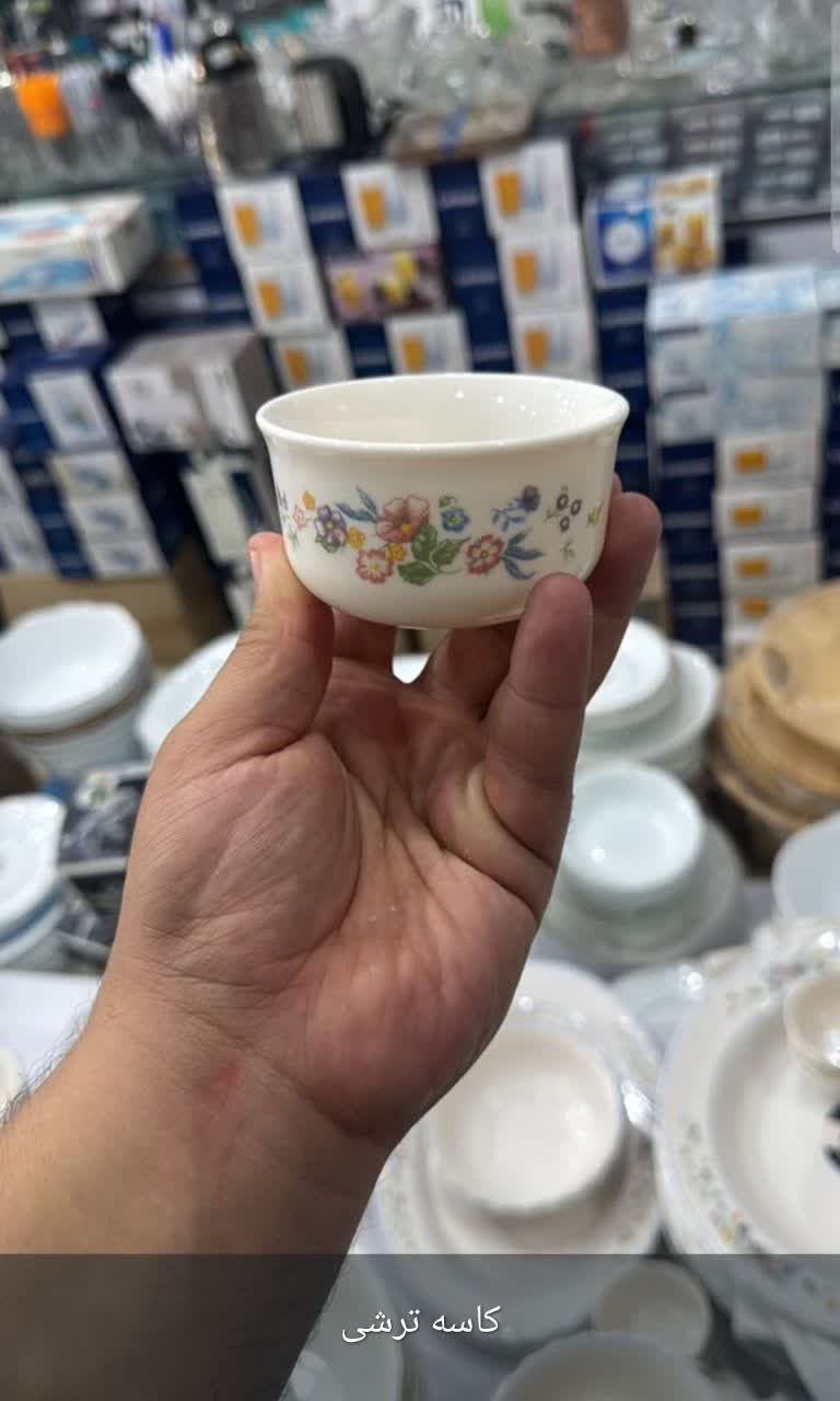کاسه ترشی‌خوری لومینارک فرانسه
